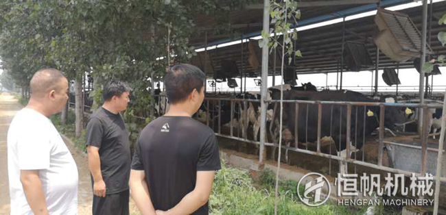 鄭州恒帆機械為溫縣客戶實地規(guī)劃年產(chǎn)三萬噸牛糞有機肥生產(chǎn)線項目(圖1) 鐘經(jīng)理在客戶的帶領(lǐng)下參觀牛養(yǎng)殖場